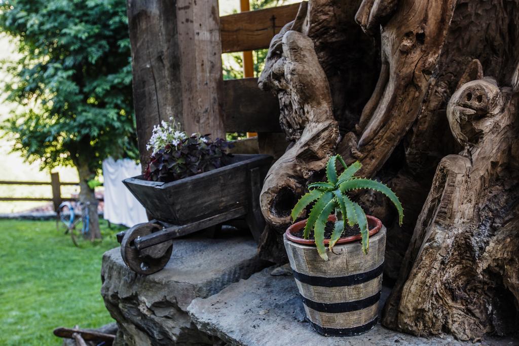 La Posada De Cucayo Dobres Екстер'єр фото
